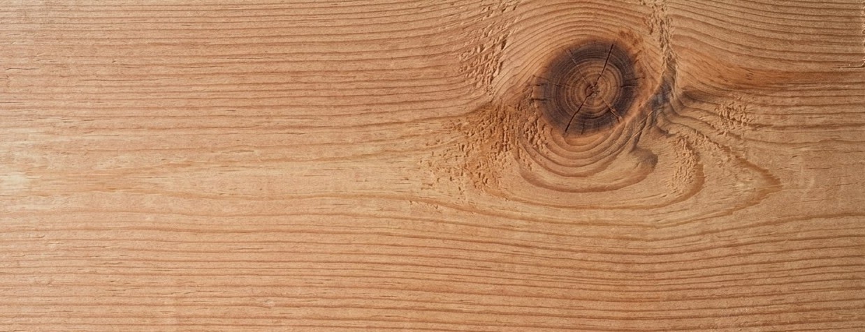 Douglas fir grain curving around a knot, orange-rose in color
