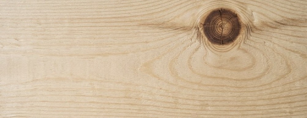 A dark knot in nearly white eastern white pine