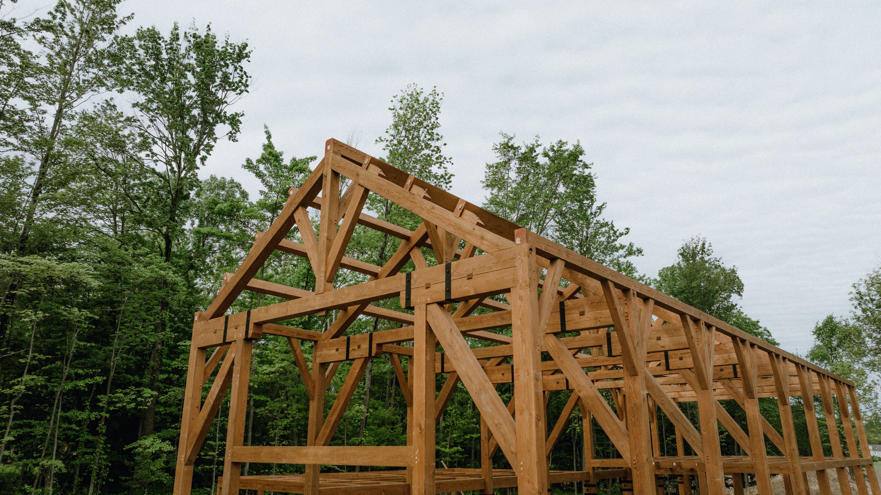 The raised Erie Party Barn frame from a corner, king post bents running down its length, trees behind