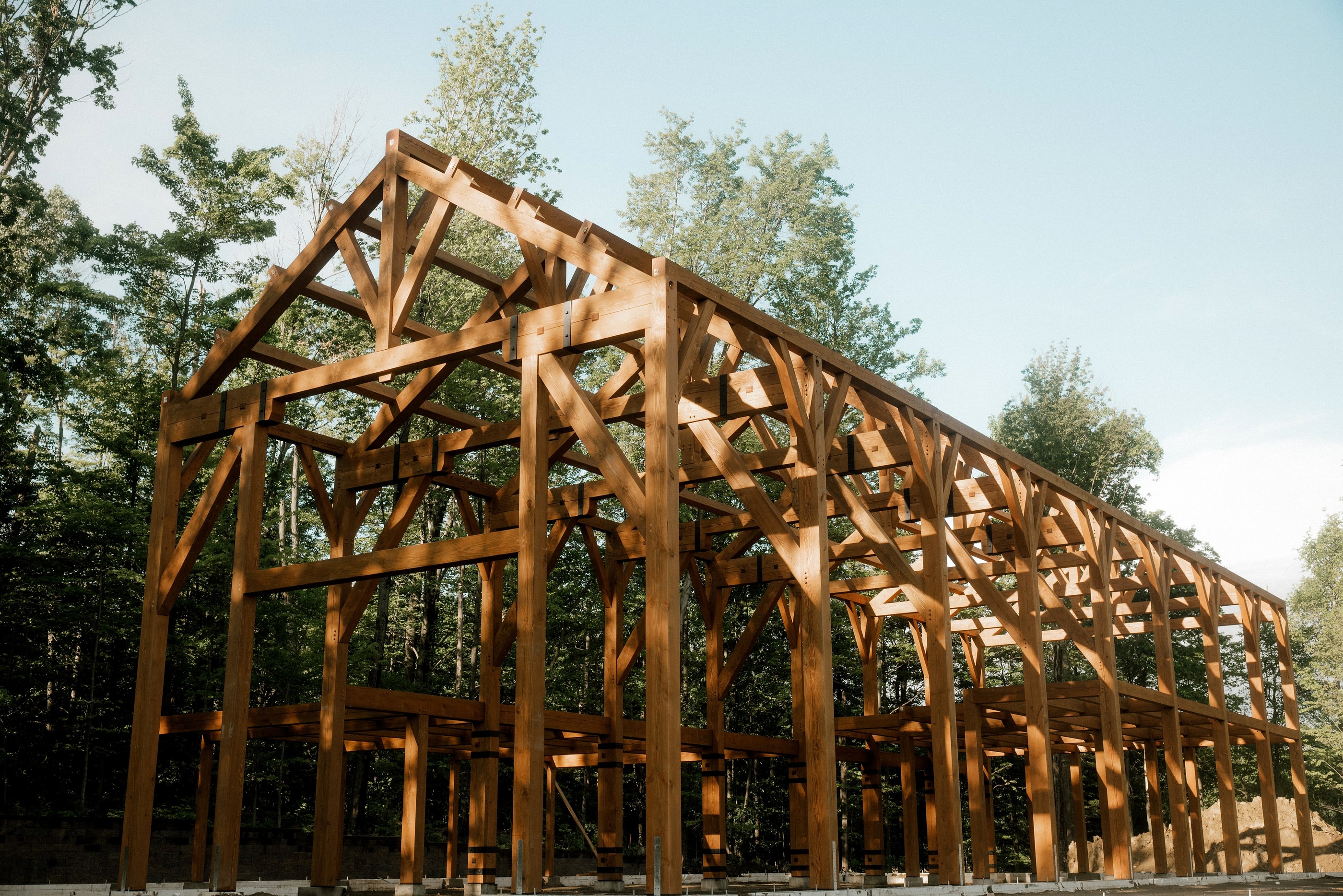 The raised frame among the trees, king post bents in a row