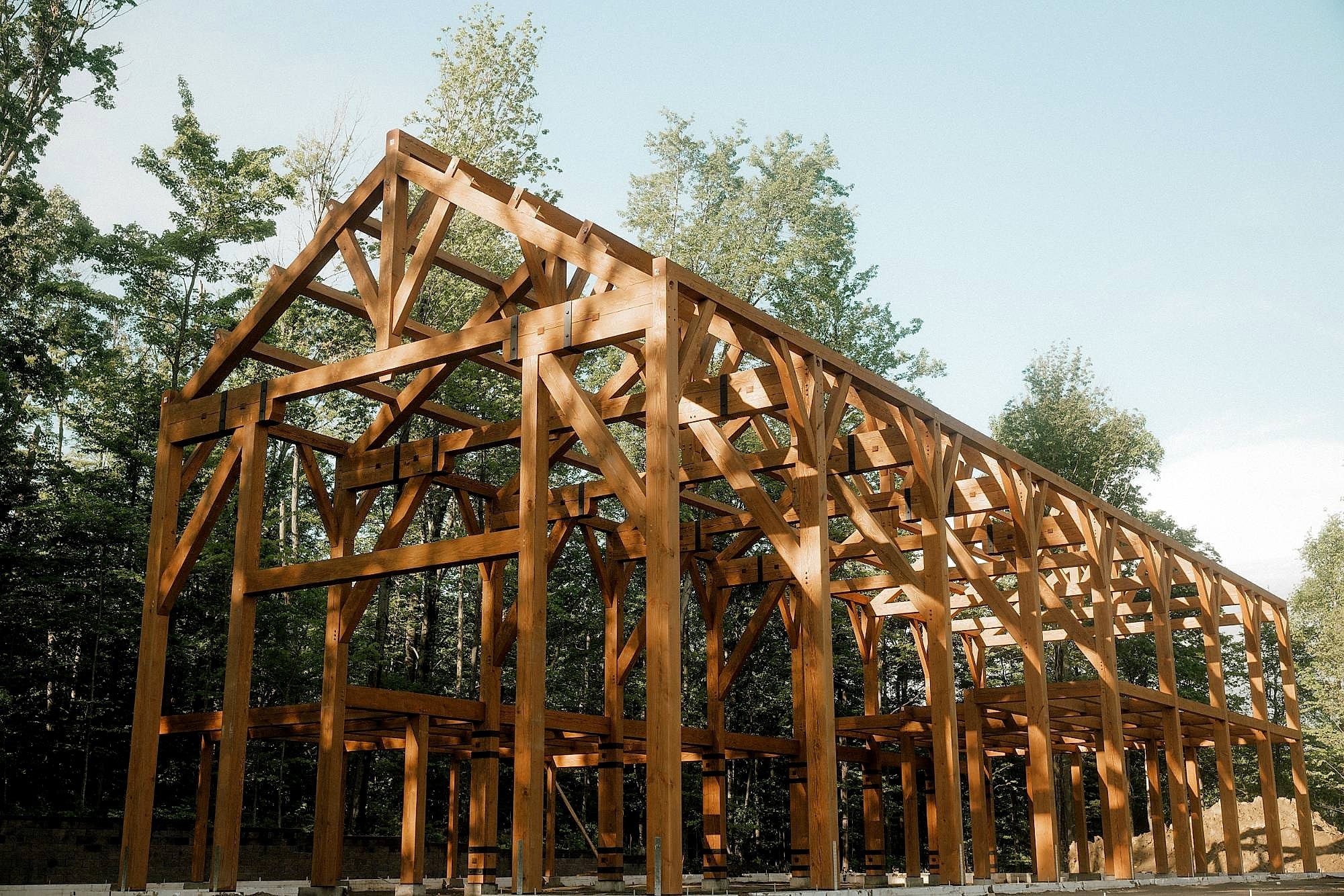 The raised Erie Party Barn frame from the ground, king post bents in a row against the trees