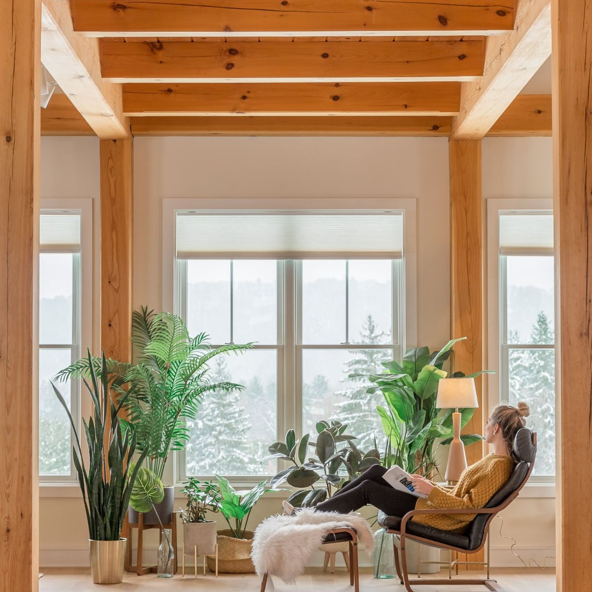 Reading by the window under a timber ceiling, snow on the pines outside