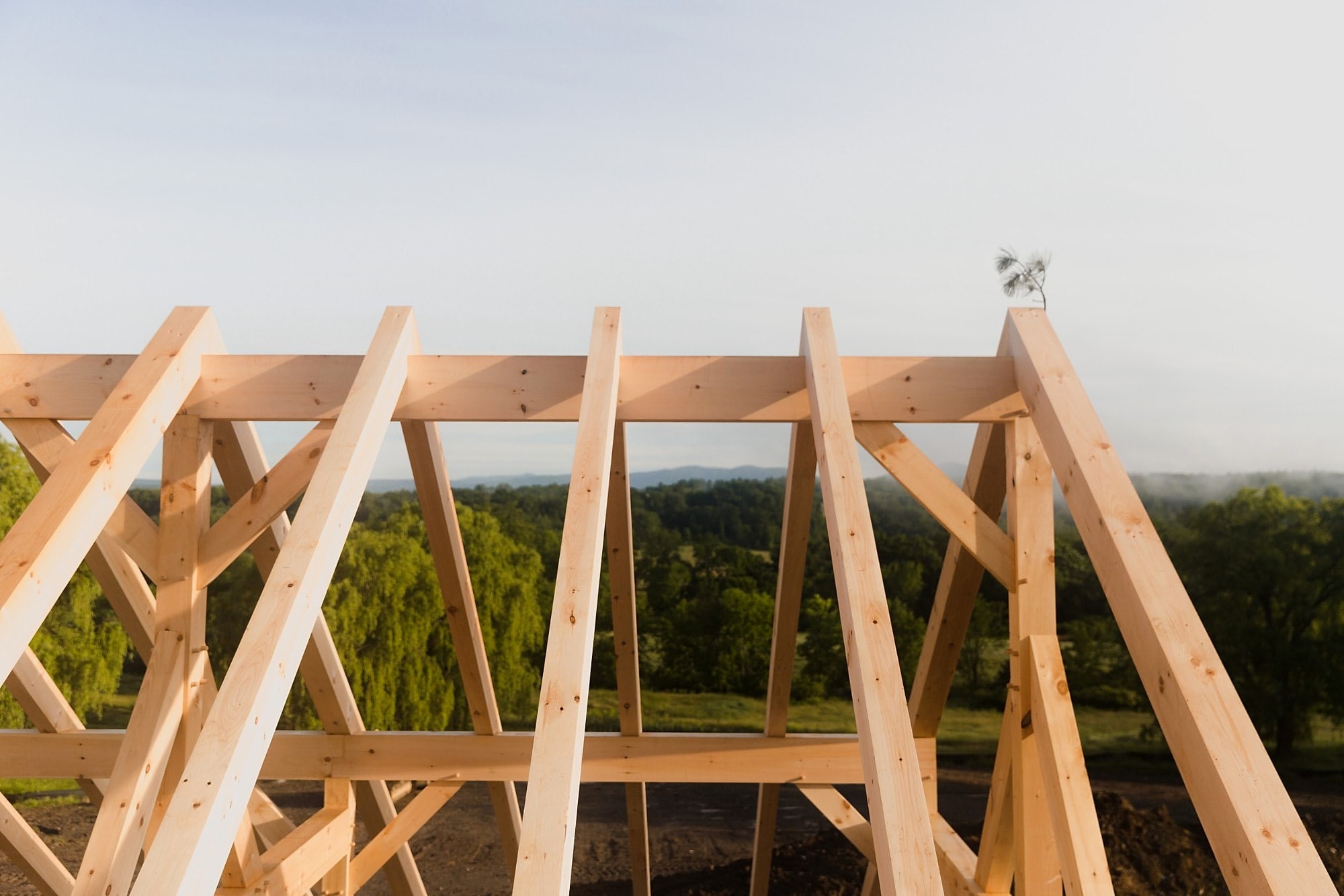 The topping-out bough at the peak of the frame, hills and trees beyond