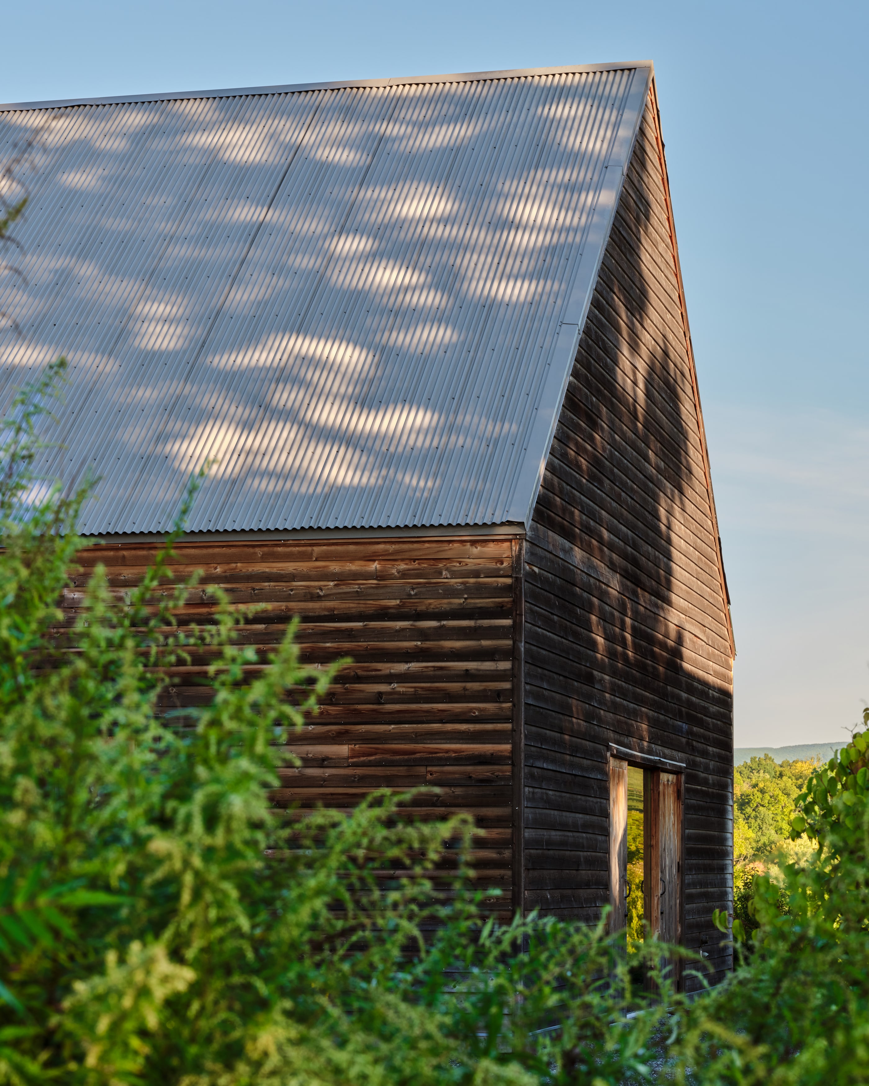 The corner of the barn in evening light, tree shadows on the roof and siding
