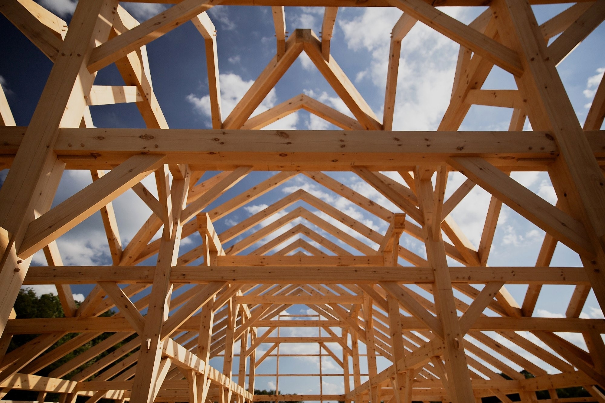 Looking up through the trusses to the ridge, gable end open to the sky