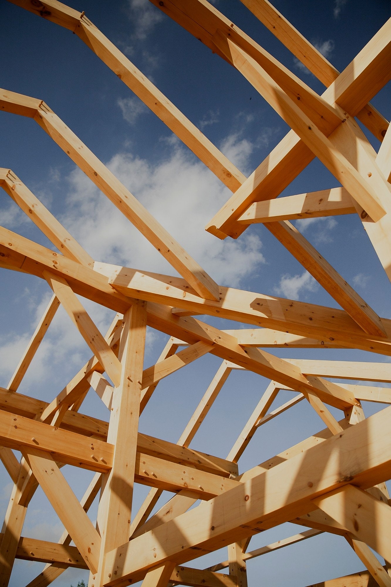 Rafters and braces crossing against the sky