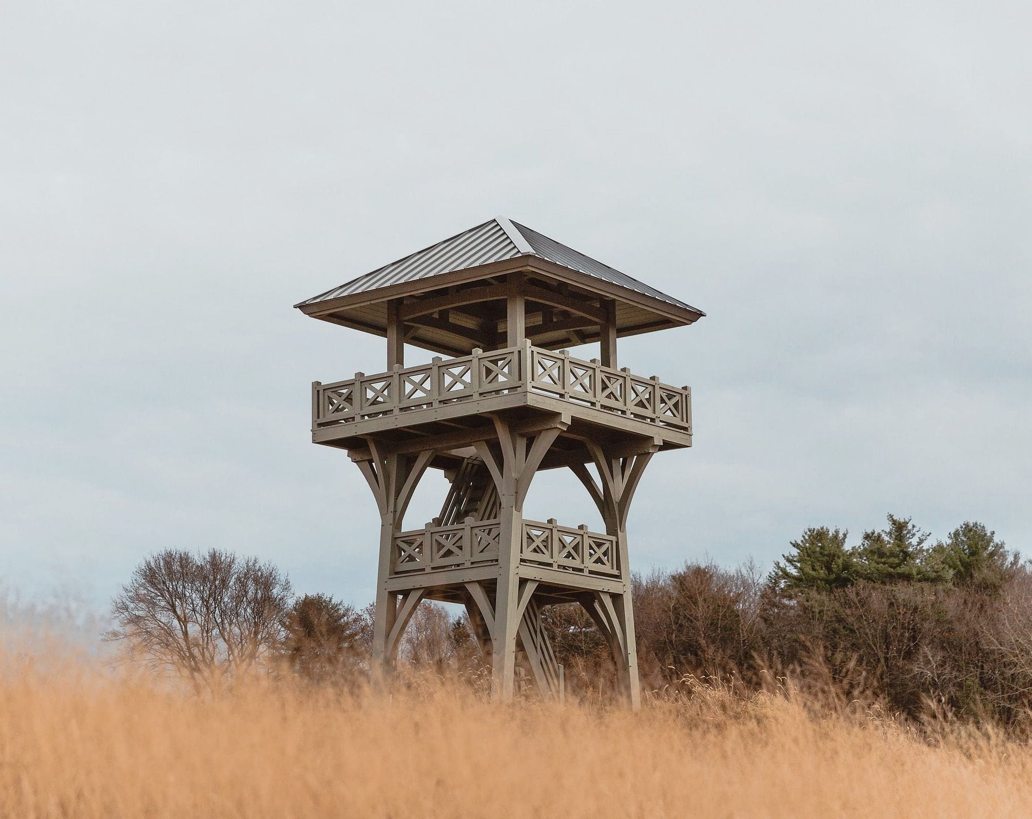 The observation tower above tall gold grass, trees and an overcast sky behind it