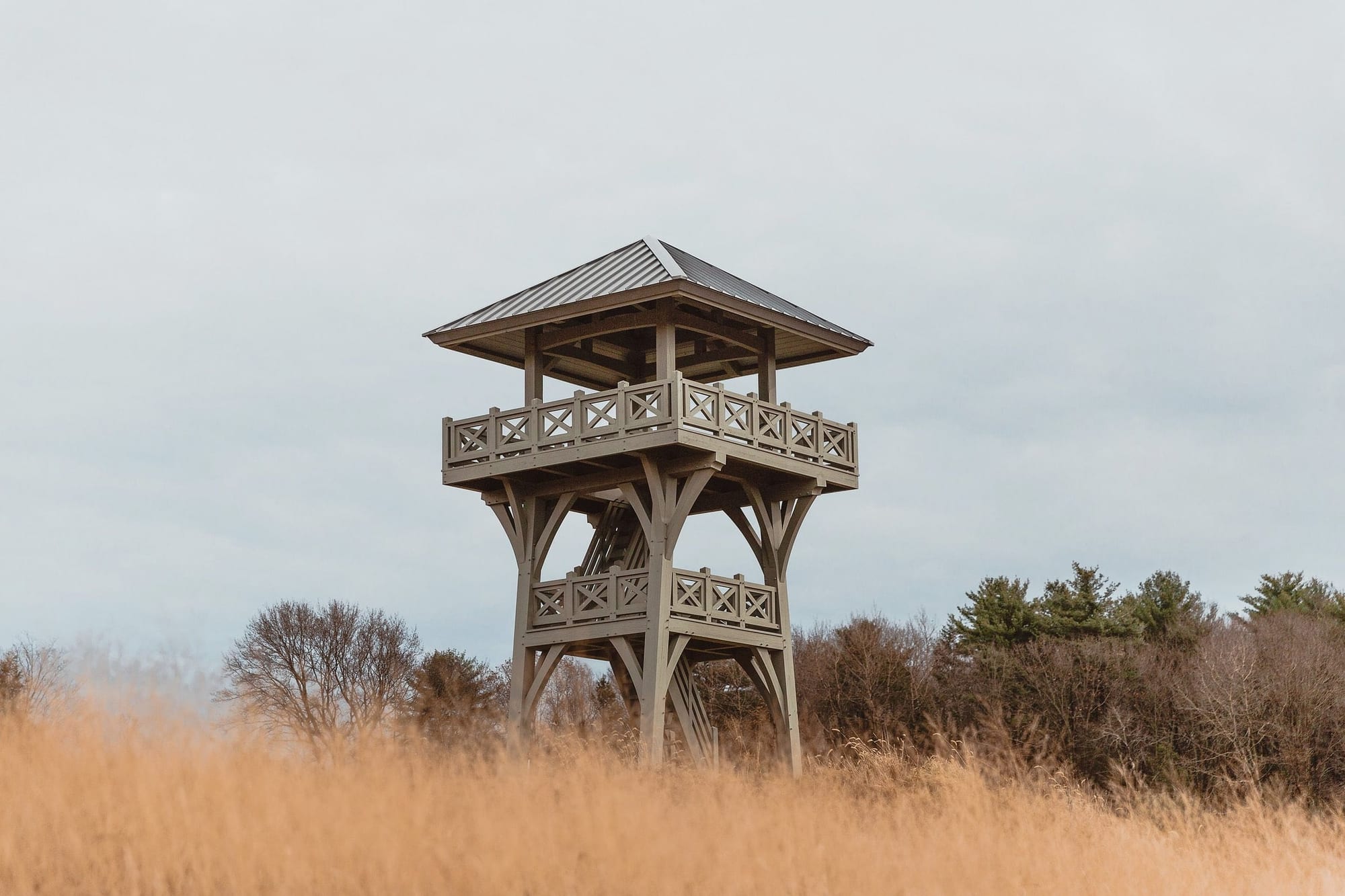 The observation tower above tall gold grass, a line of trees and an overcast sky behind it