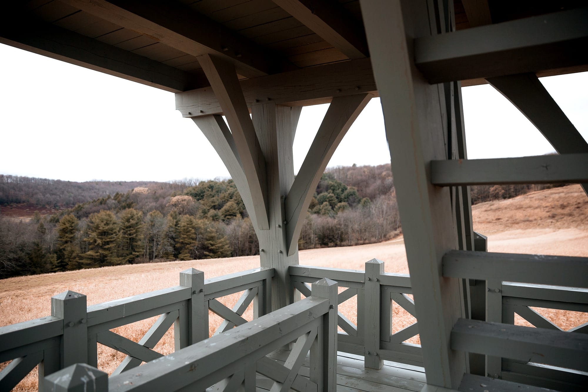 From the top platform: a post and its braces framing the view over fields and woods