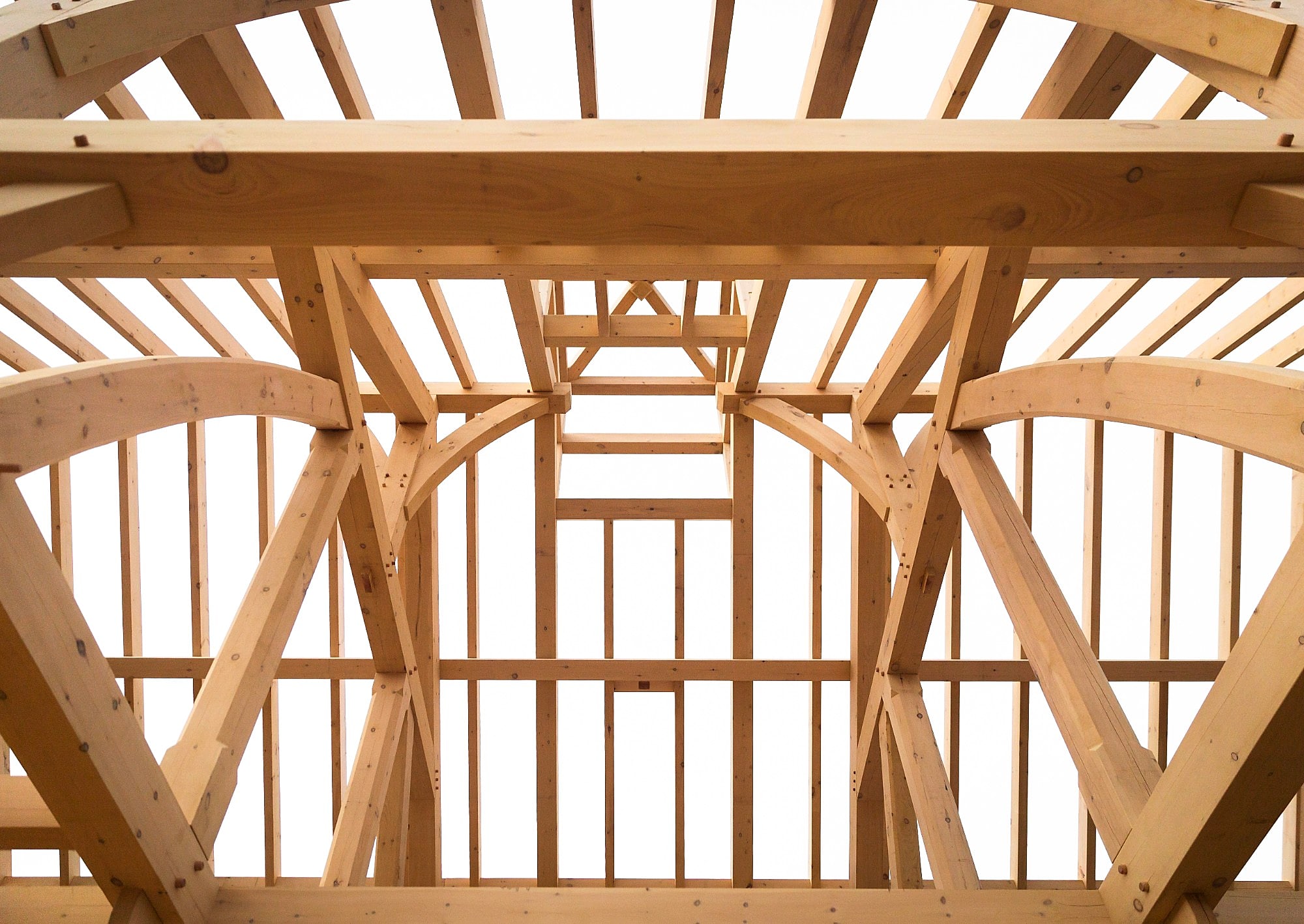 Looking up into the Pond House frame during construction: curved braces, pegged joints and rafters against a pale sky