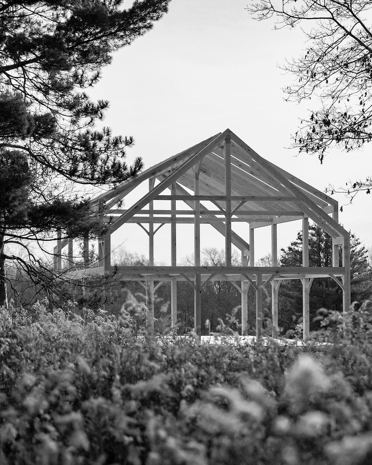 A raised frame in a winter field, pines on one side and bare trees on the other