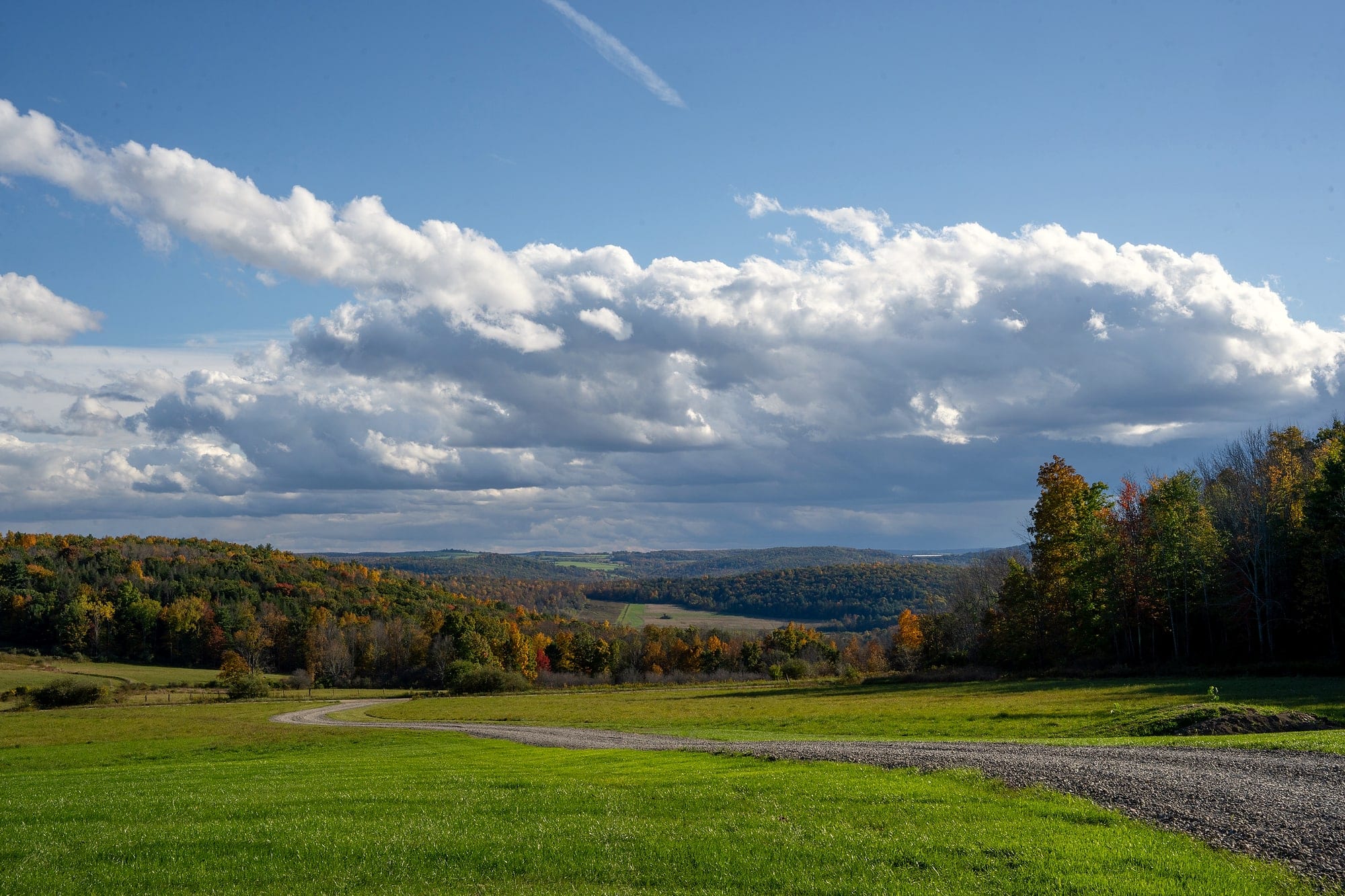 The view from the cabin: a gravel drive curving down through the field toward wooded hills and a long valley